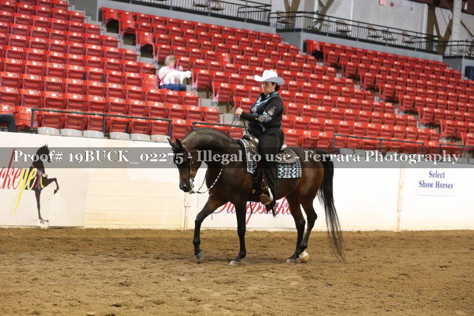 Proof 19BUCK_02275