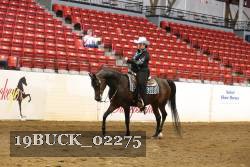 19BUCK_02275 proof