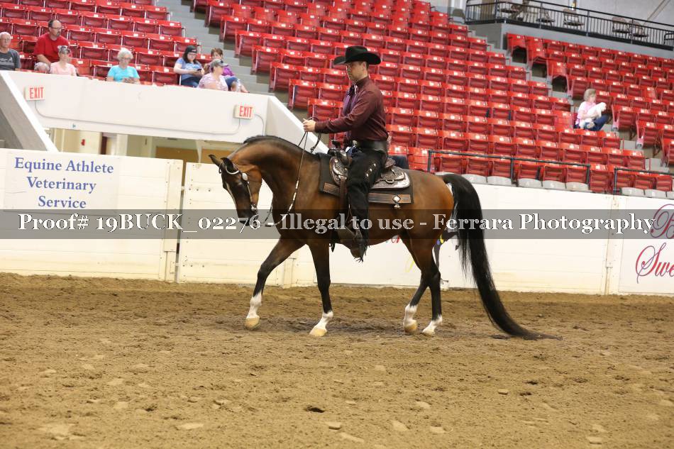 Proof 19BUCK_02276