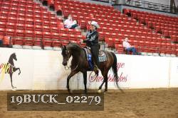 19BUCK_02279 proof