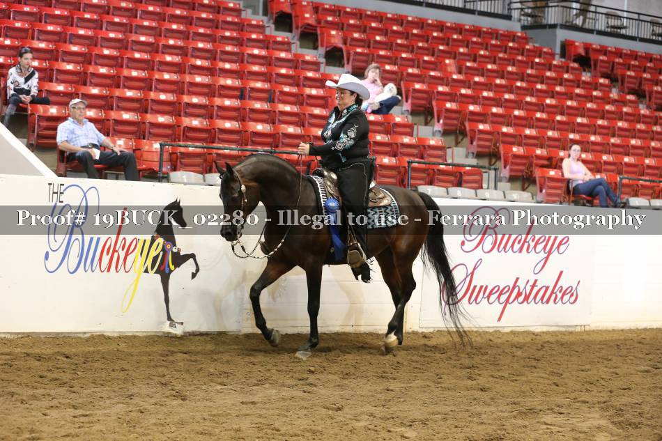 Proof 19BUCK_02280