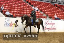 19BUCK_02280 proof