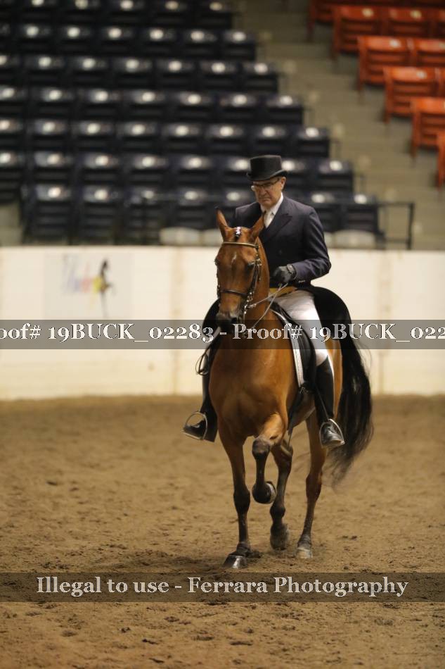 Proof 19BUCK_02283