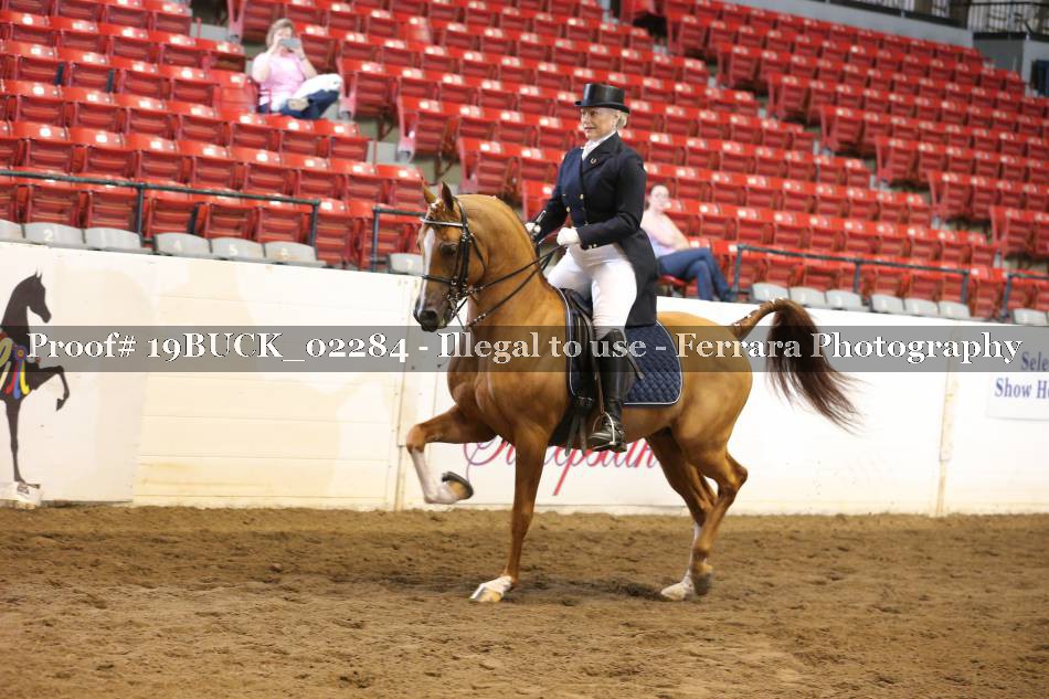 Proof 19BUCK_02284