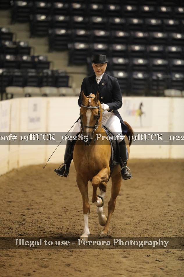 Proof 19BUCK_02285