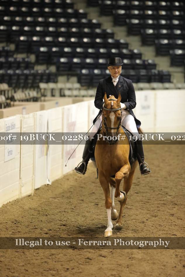 Proof 19BUCK_02286