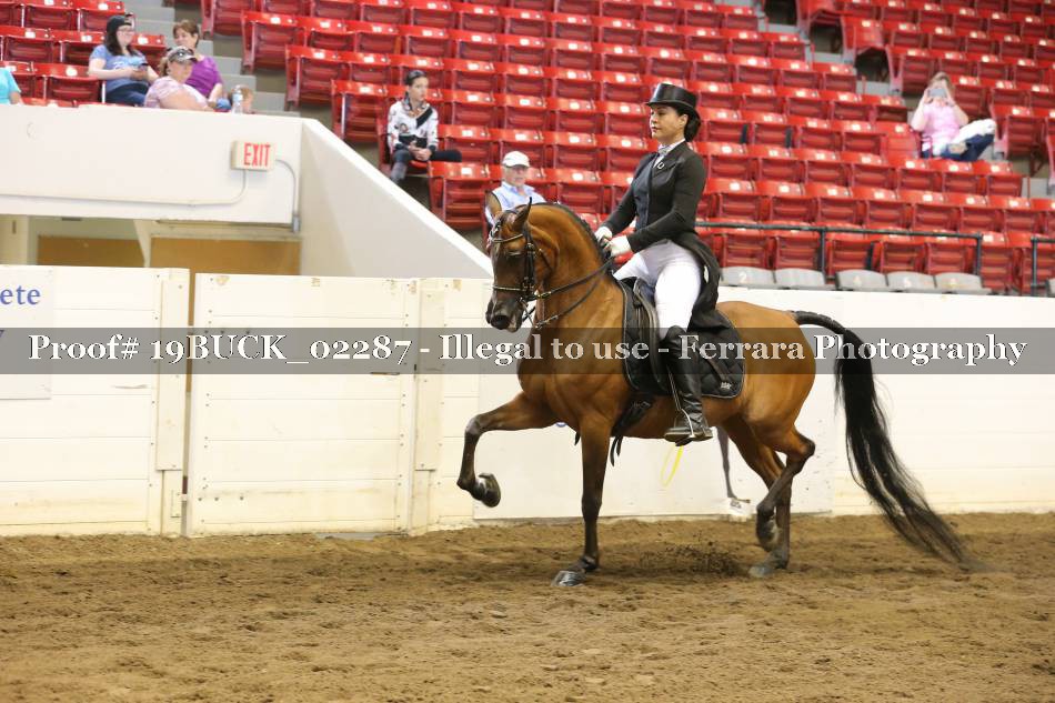 Proof 19BUCK_02287