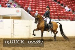 19BUCK_02287 proof