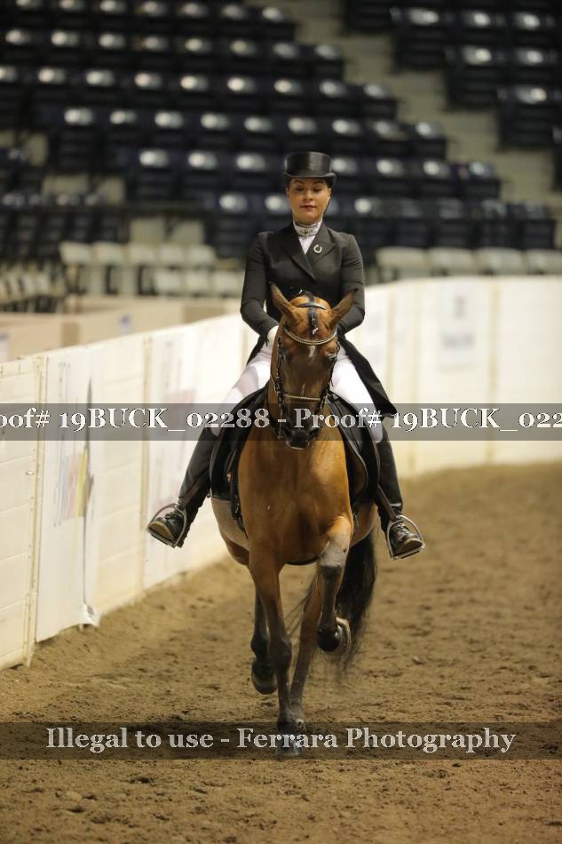 Proof 19BUCK_02288