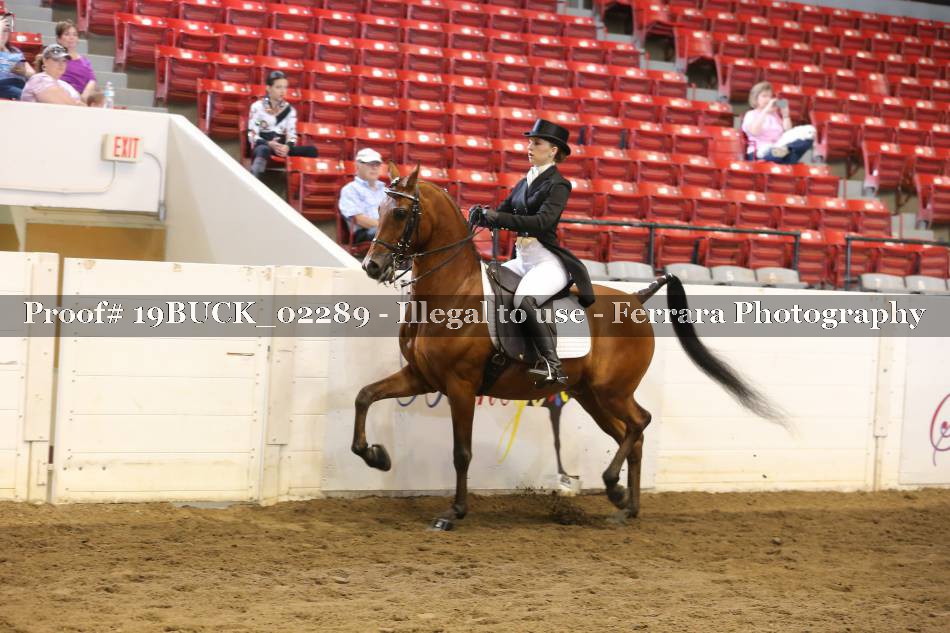 Proof 19BUCK_02289