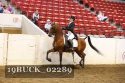 19BUCK_02289 proof