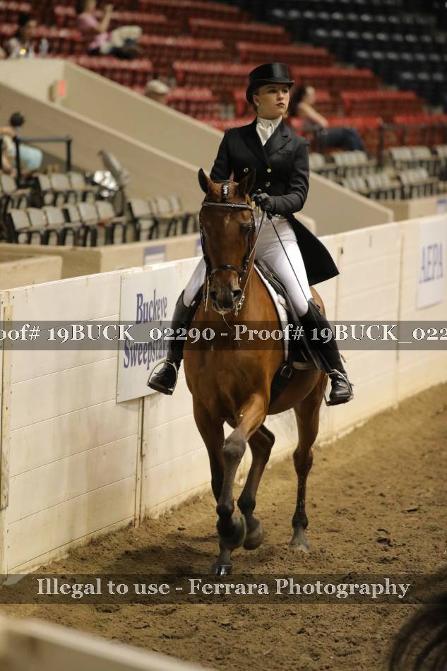 Proof 19BUCK_02290