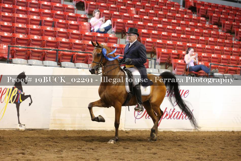 Proof 19BUCK_02291