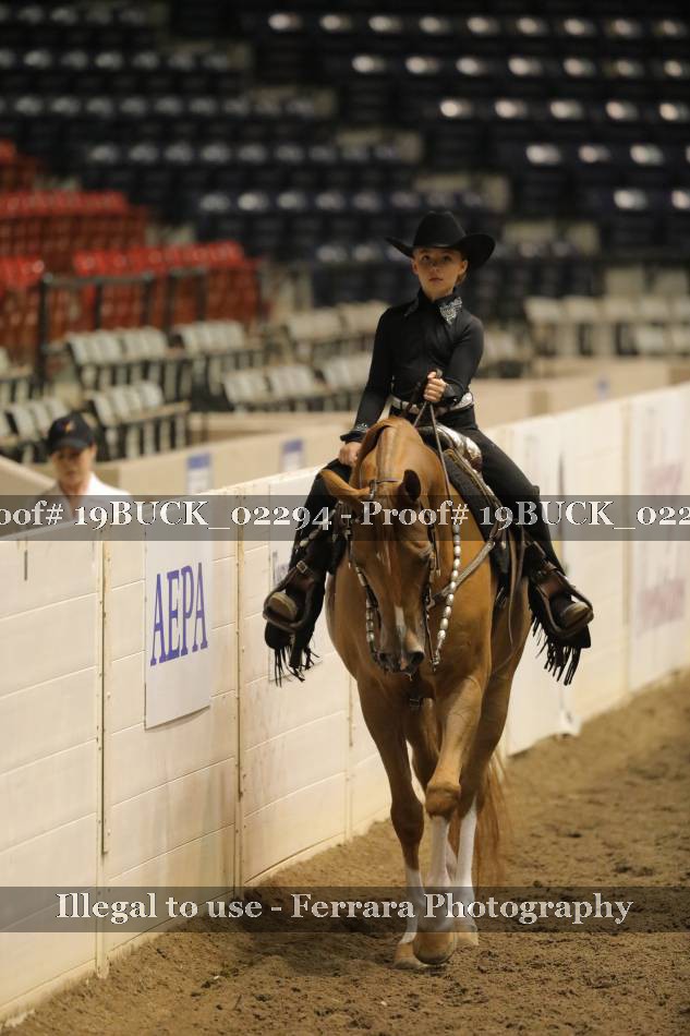 Proof 19BUCK_02294