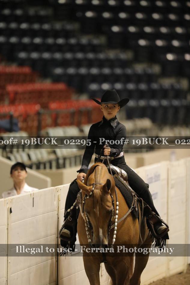 Proof 19BUCK_02295