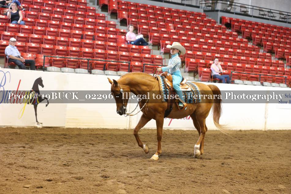 Proof 19BUCK_02296
