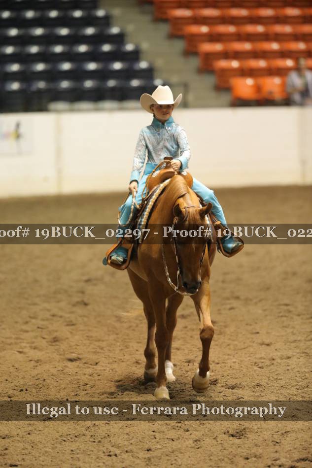 Proof 19BUCK_02297