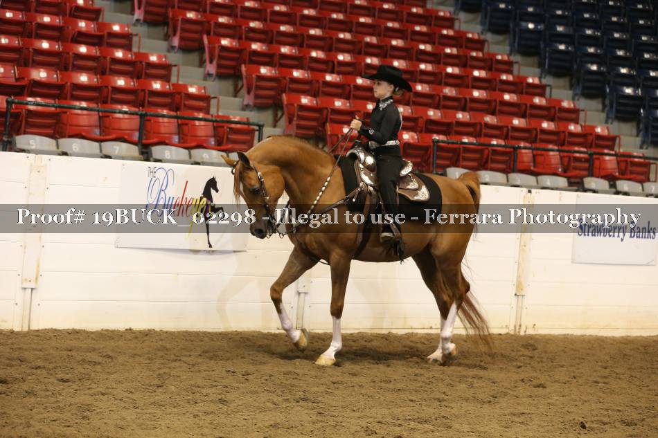 Proof 19BUCK_02298