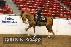 19BUCK_02299 proof