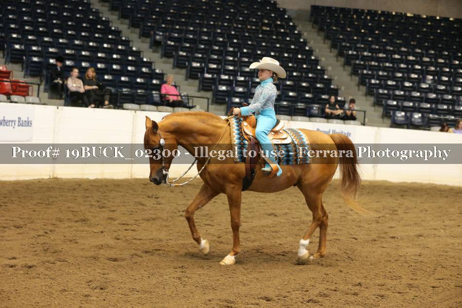Proof 19BUCK_02300