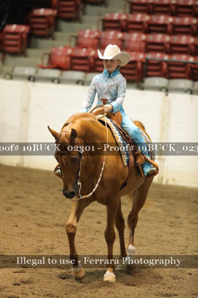 Proof 19BUCK_02301