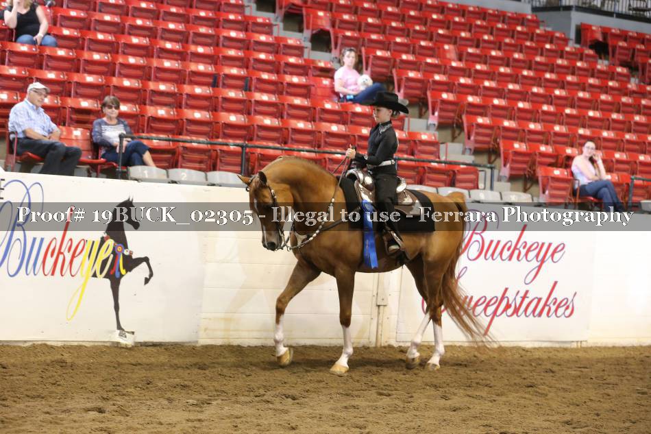 Proof 19BUCK_02305