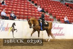 19BUCK_02305 proof