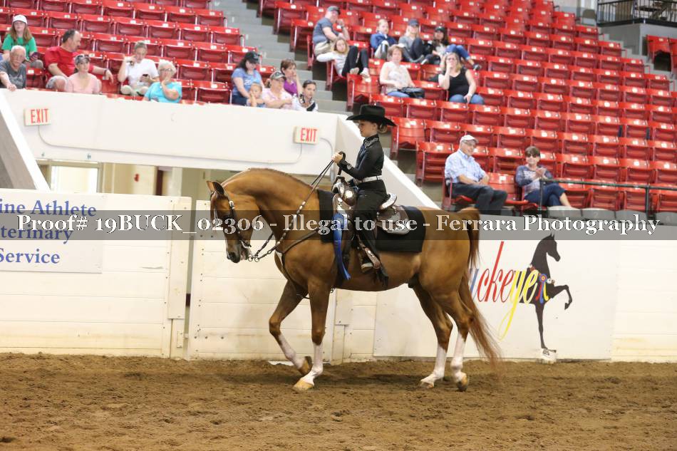 Proof 19BUCK_02306