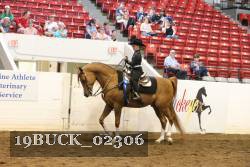 19BUCK_02306 proof