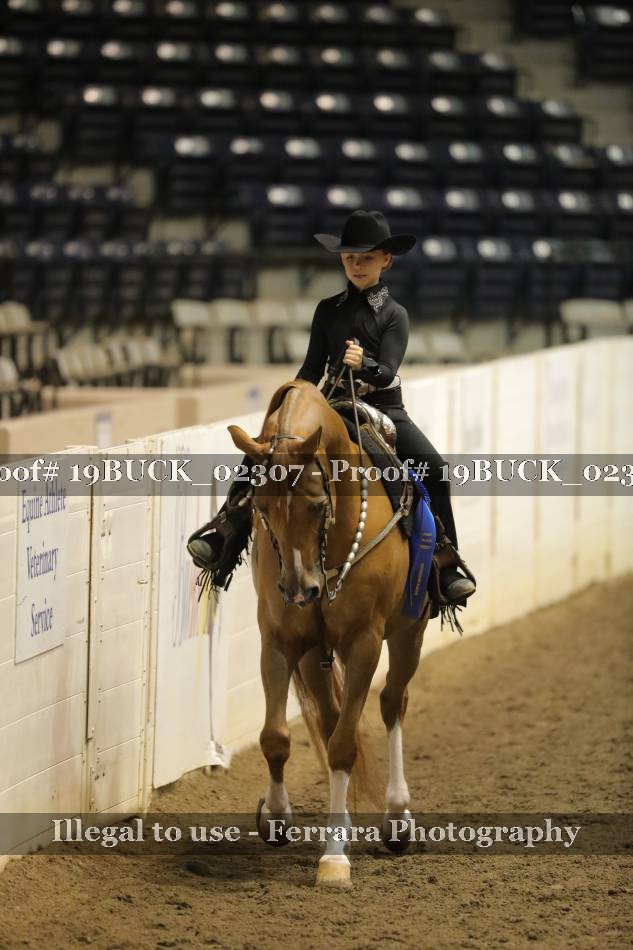 Proof 19BUCK_02307