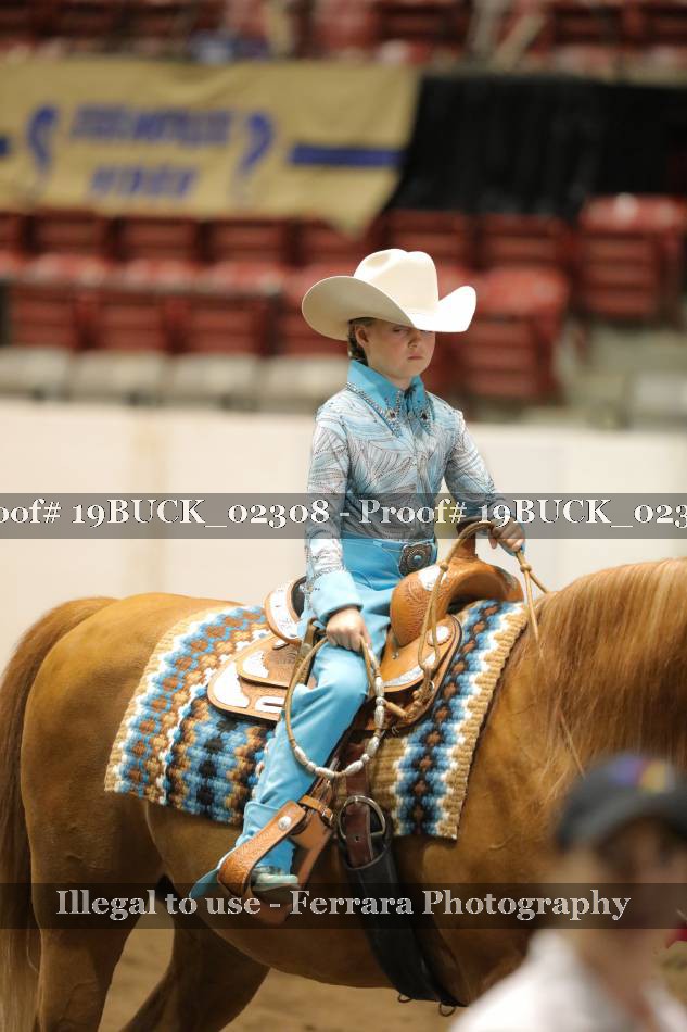Proof 19BUCK_02308