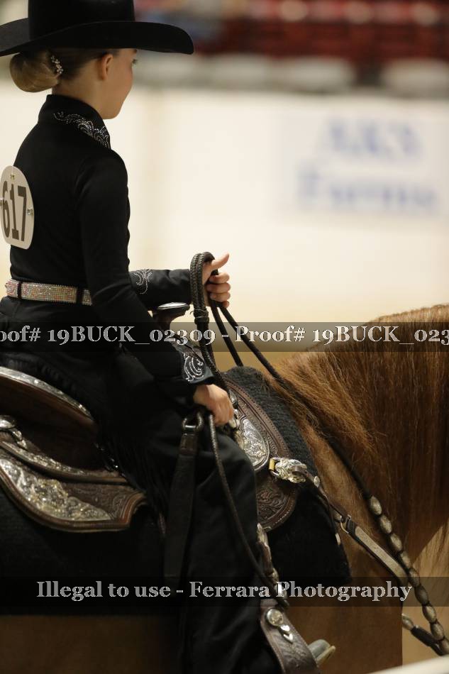 Proof 19BUCK_02309
