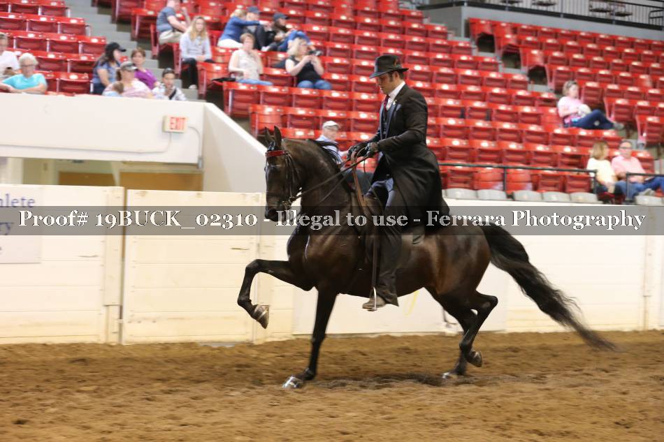 Proof 19BUCK_02310