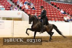 19BUCK_02310 proof