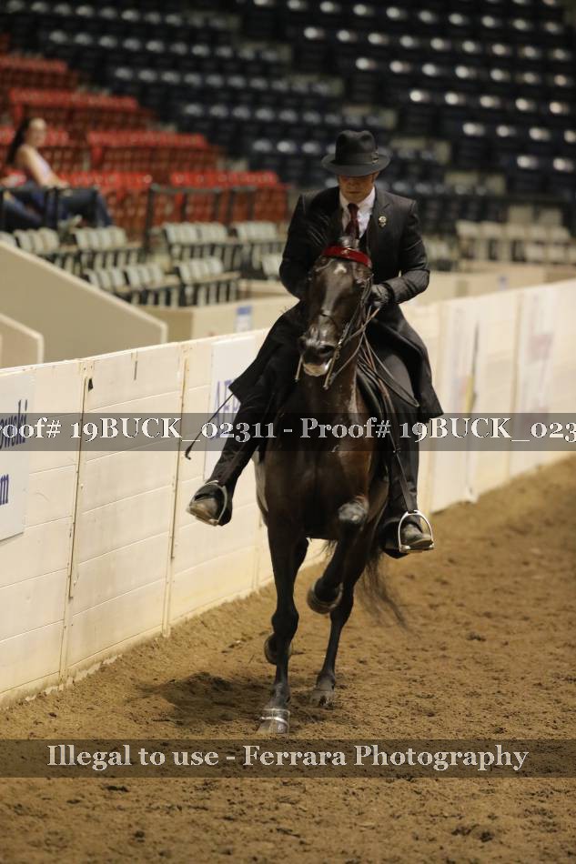 Proof 19BUCK_02311