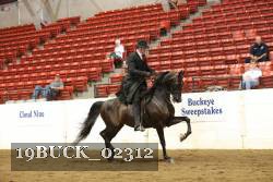 19BUCK_02312 proof