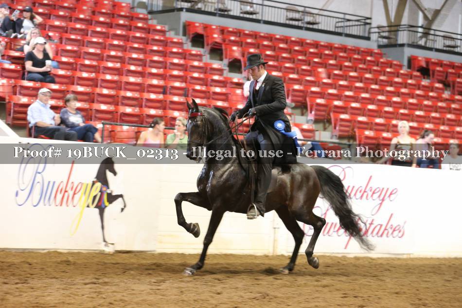 Proof 19BUCK_02313