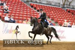 19BUCK_02313 proof
