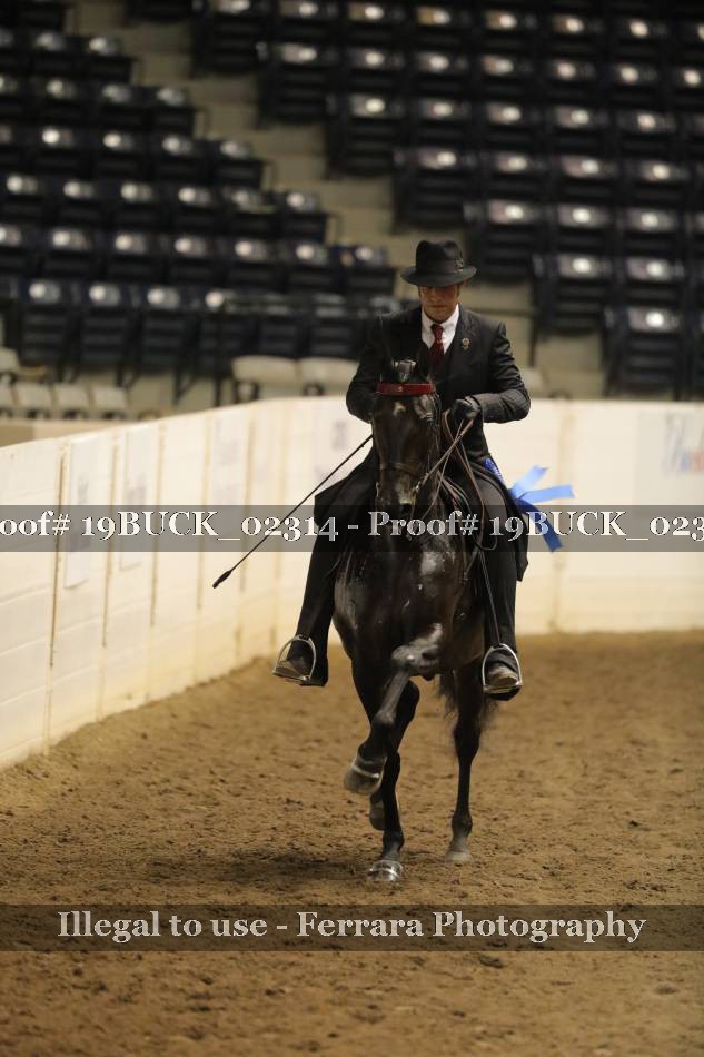 Proof 19BUCK_02314