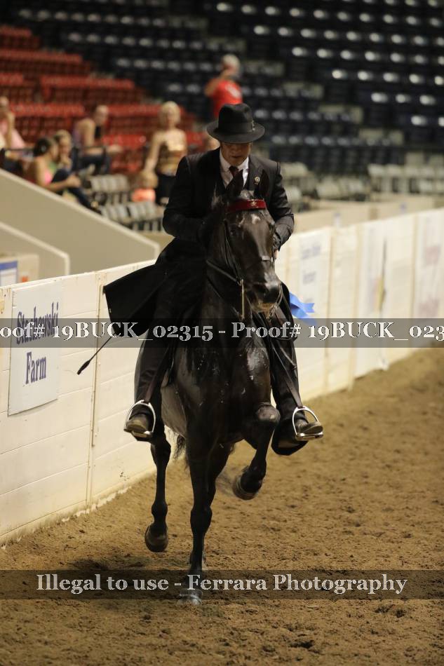 Proof 19BUCK_02315