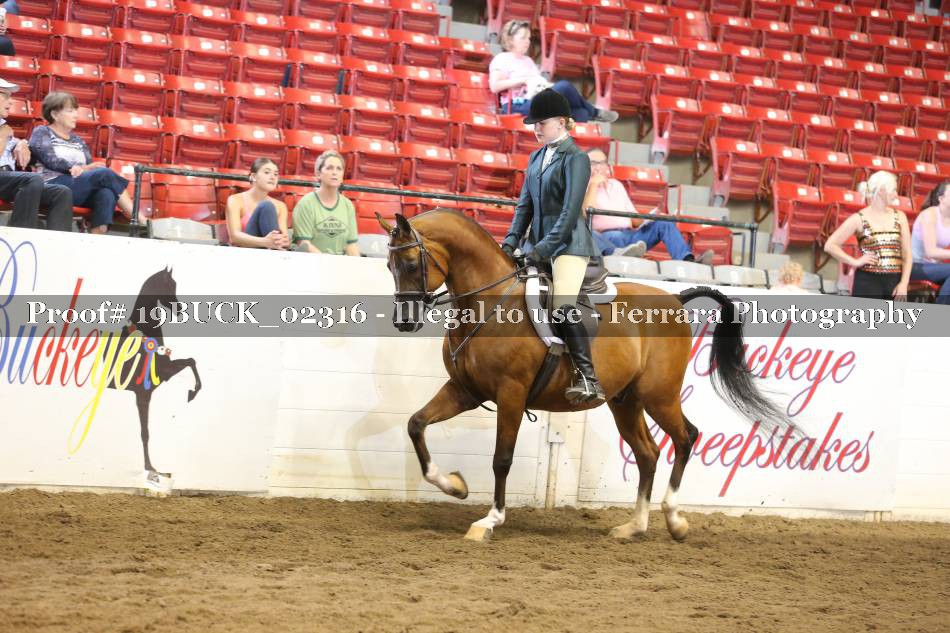 Proof 19BUCK_02316