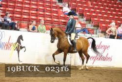 19BUCK_02316 proof