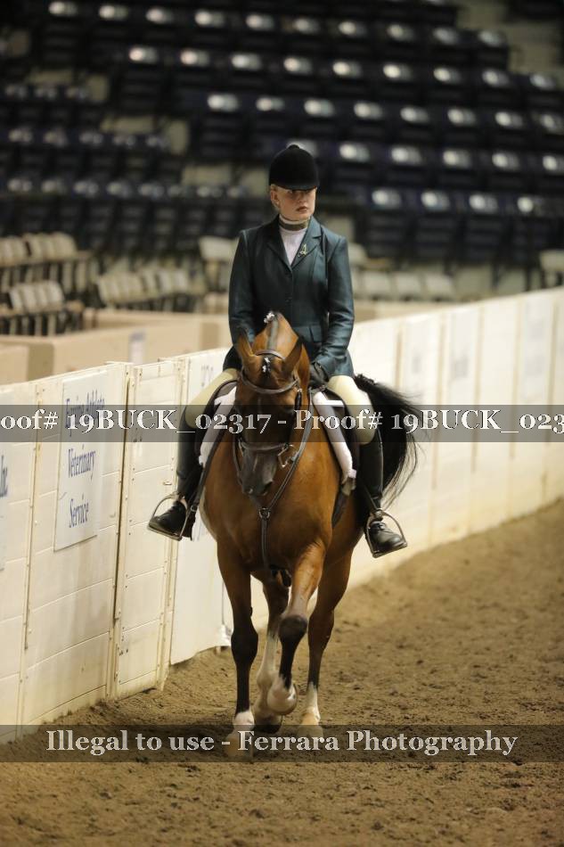 Proof 19BUCK_02317