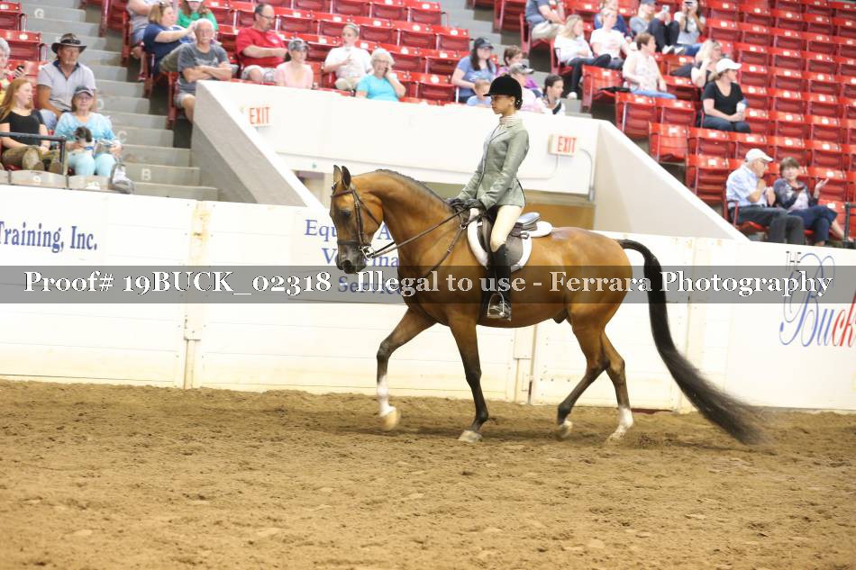 Proof 19BUCK_02318