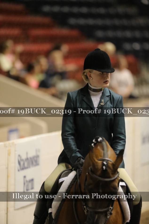 Proof 19BUCK_02319