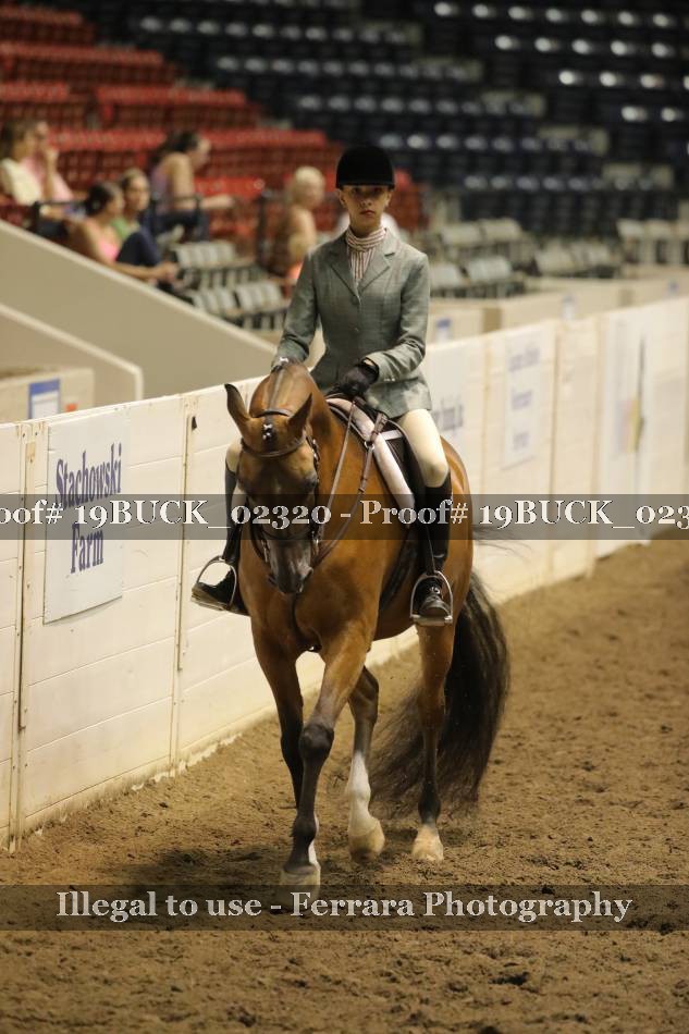Proof 19BUCK_02320