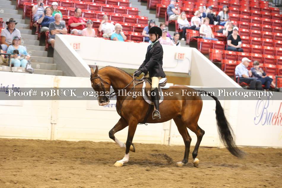 Proof 19BUCK_02322