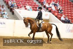 19BUCK_02322 proof