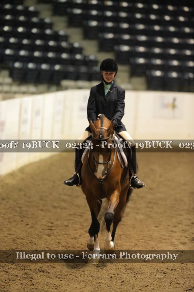 Proof 19BUCK_02323