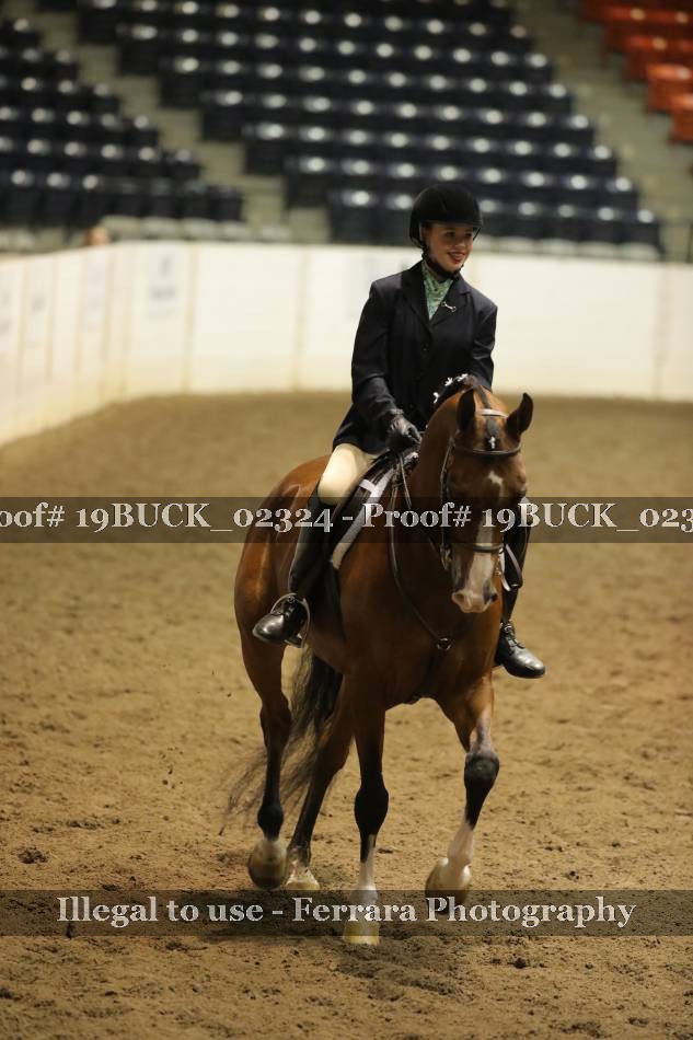 Proof 19BUCK_02324